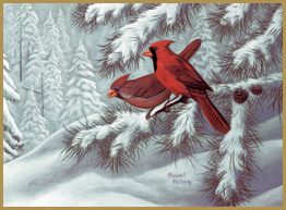 winter cardinal scene